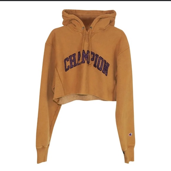Sweaters - Champion Cropped Hoodie